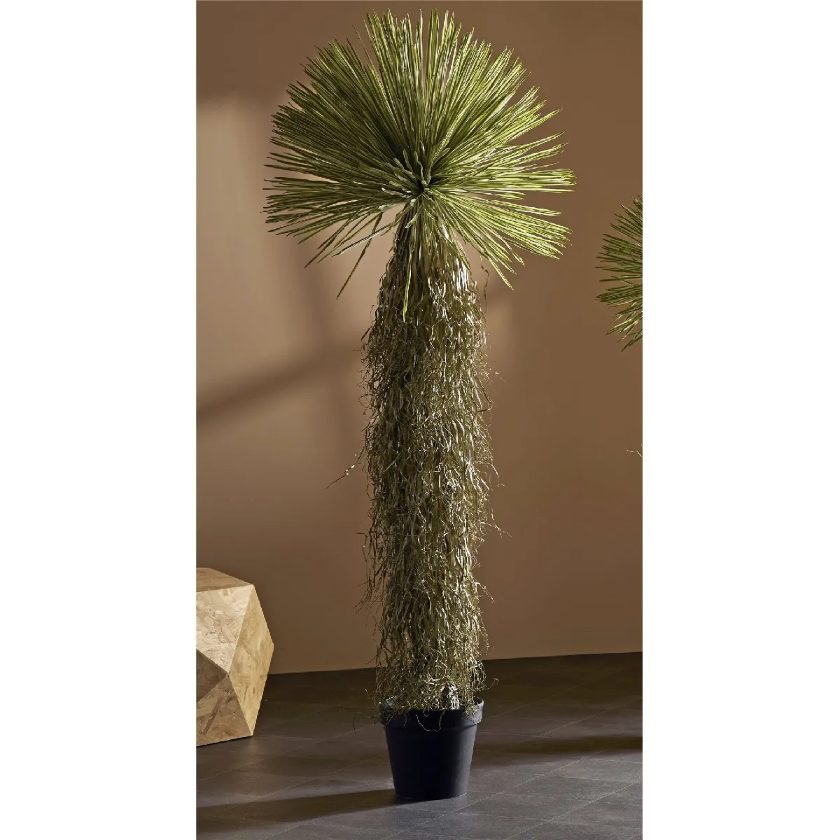Yucca rostrata, aspect réaliste, 175 cm, 70 x 70 x 175 cm