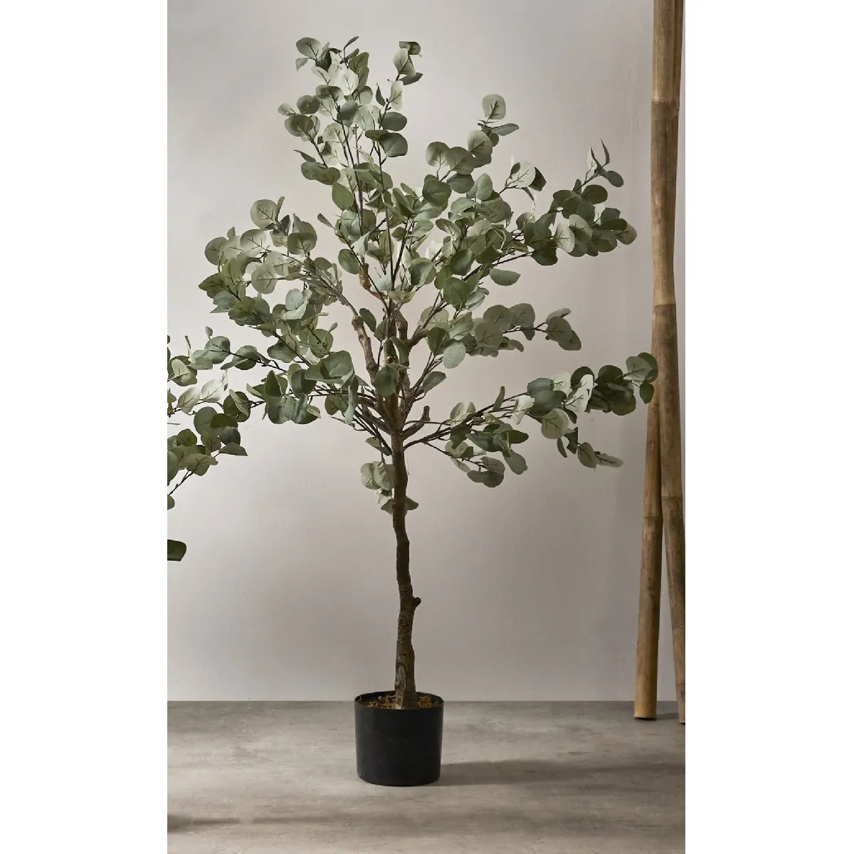 Eucalyptus 150 cm x 150 cm Alexandra House Living