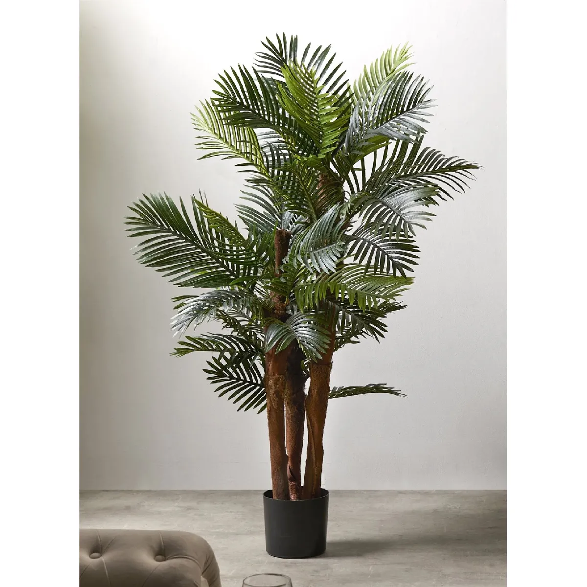 Kentia 156 cm x 156 cm Alexandra House Living