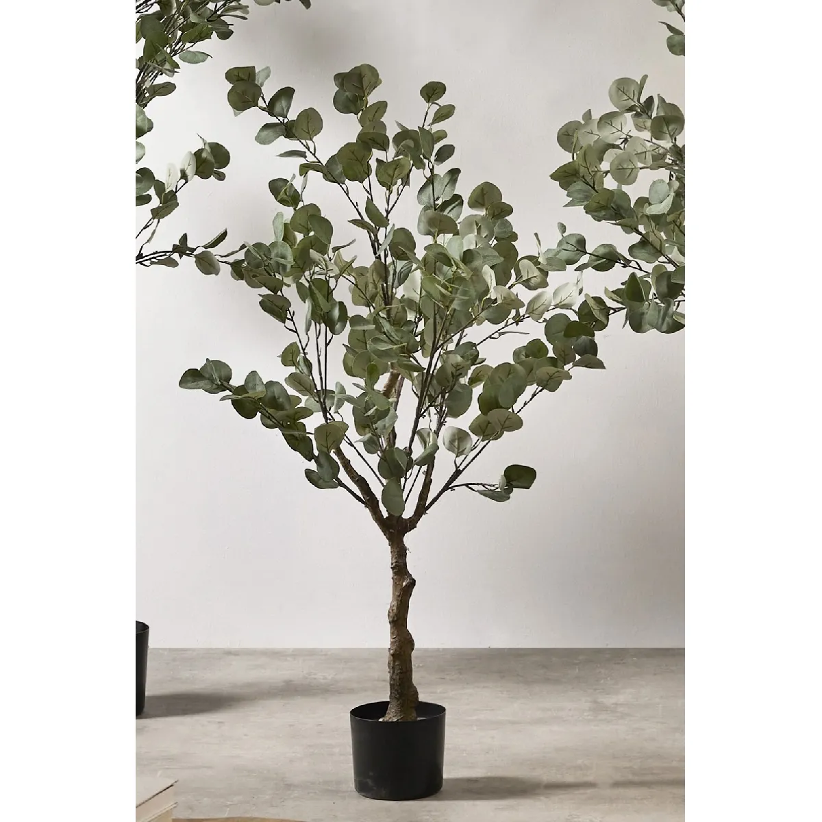 Eucalyptus 122 cm 122 cm Alexandra House Living