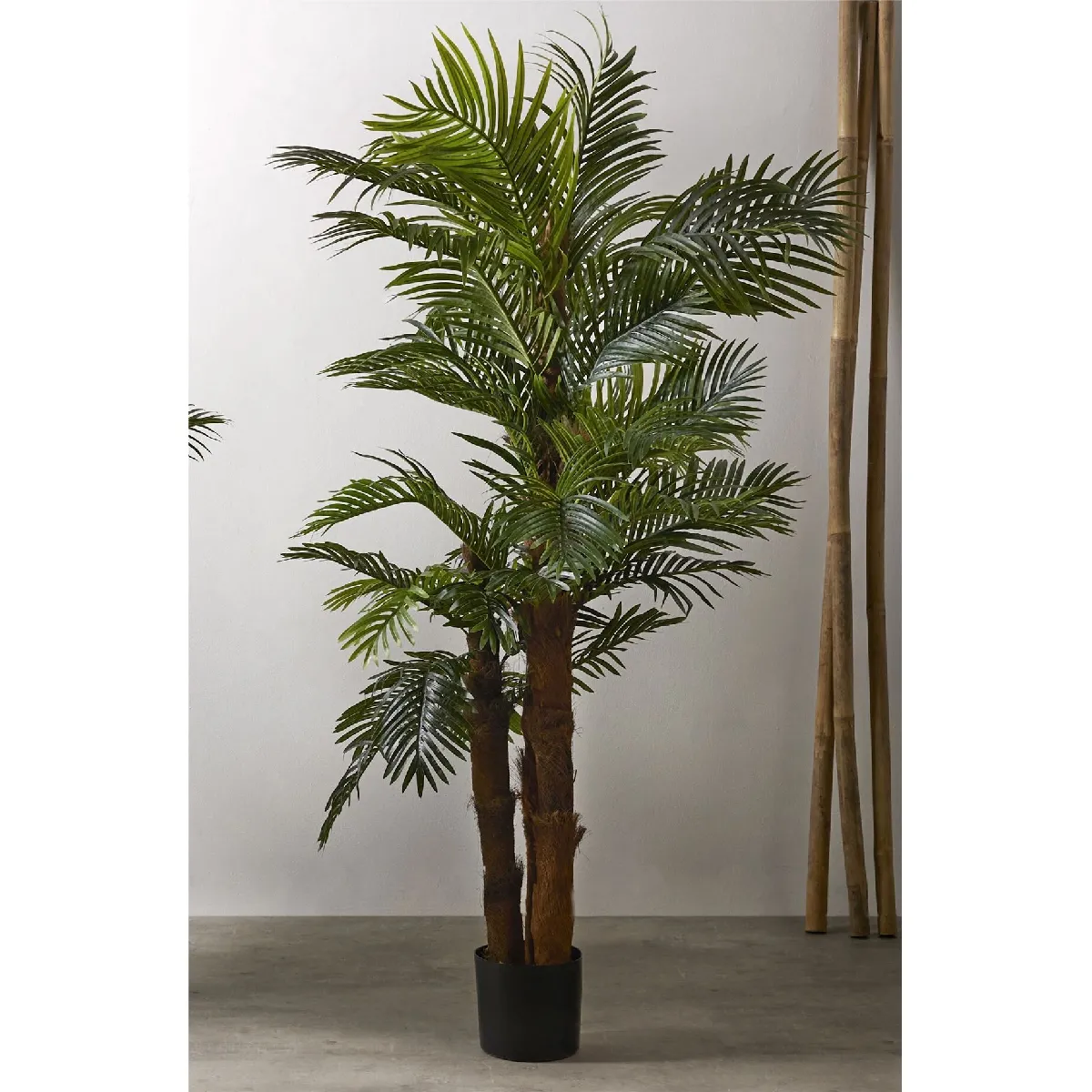 Kentia 200 cm x 200 cm Alexandra House Living