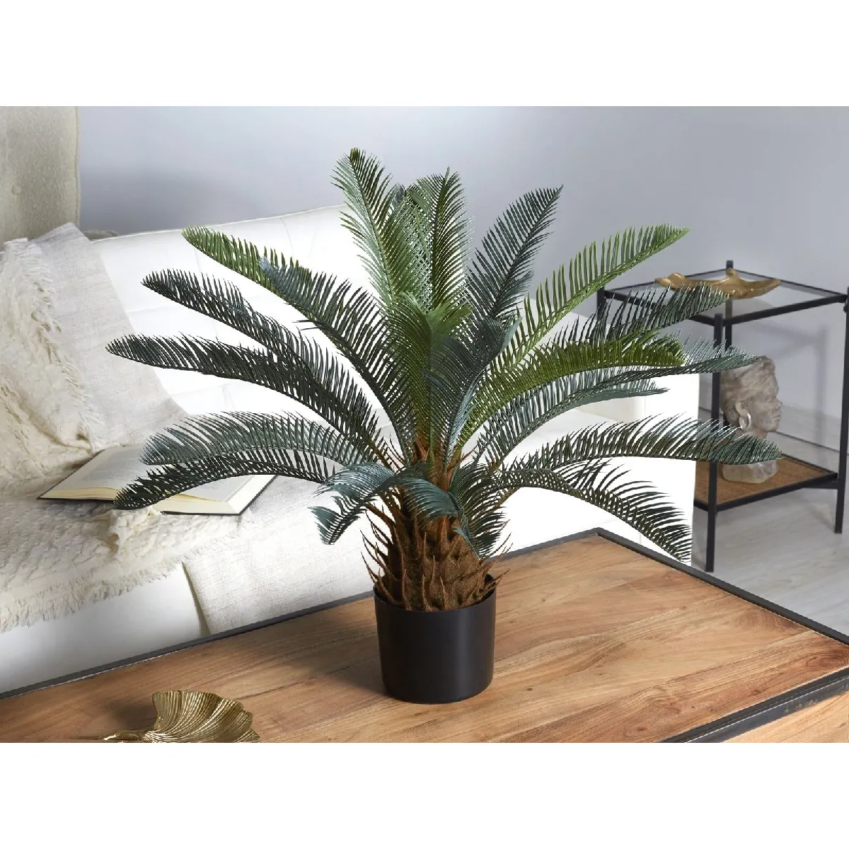 Plante de Zica 65cm 65cm Alexandra House Living