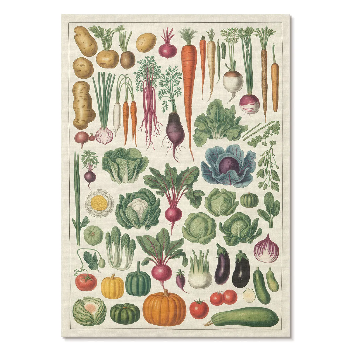 Affiche décoration Tulup Format A4 Types De Légumes Formation artistique Manufaktura Sztuki