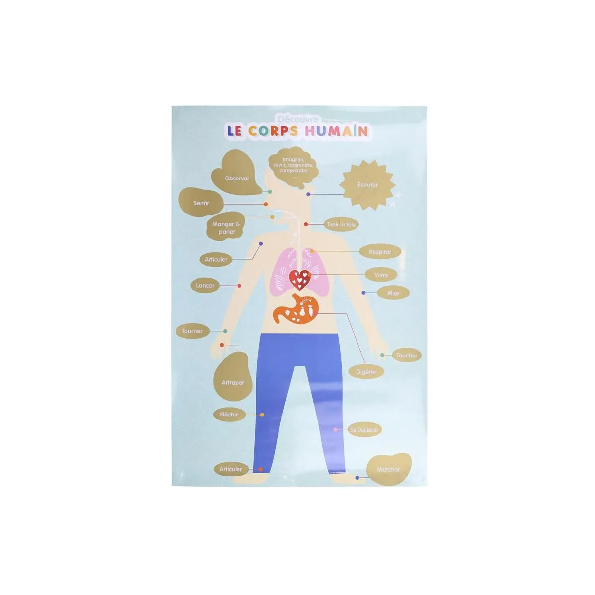 Poster À Gratter - Jeux 2 Momes - Éducatif - Corps Humain