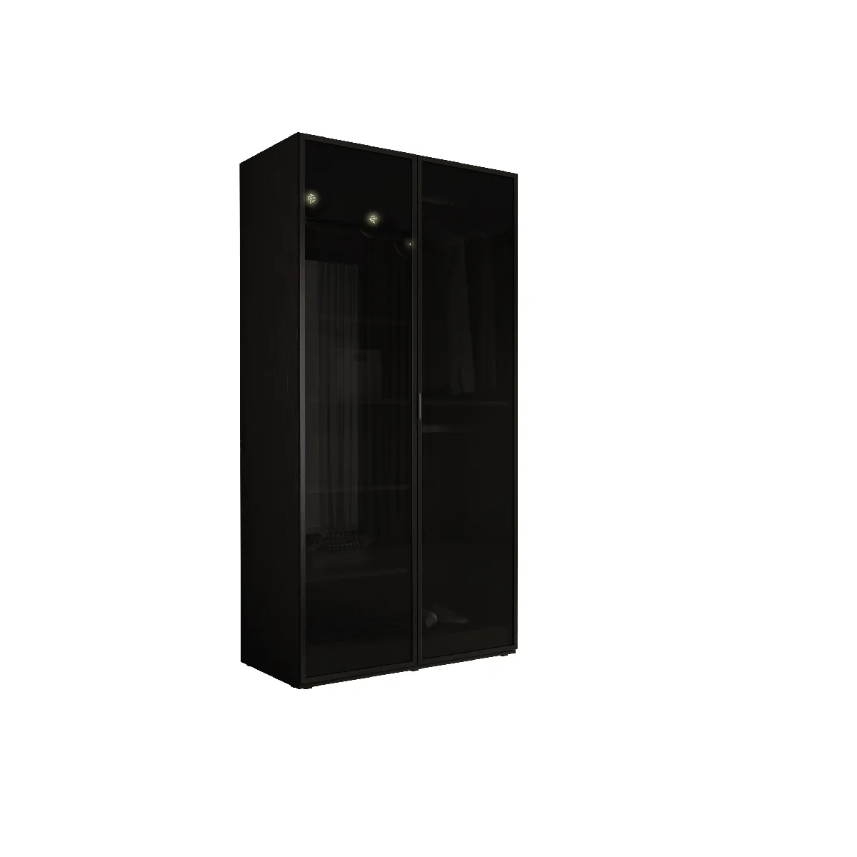 Armoire: Graphite Noir / Verre Antisol, 100 x 200 x 51 cm