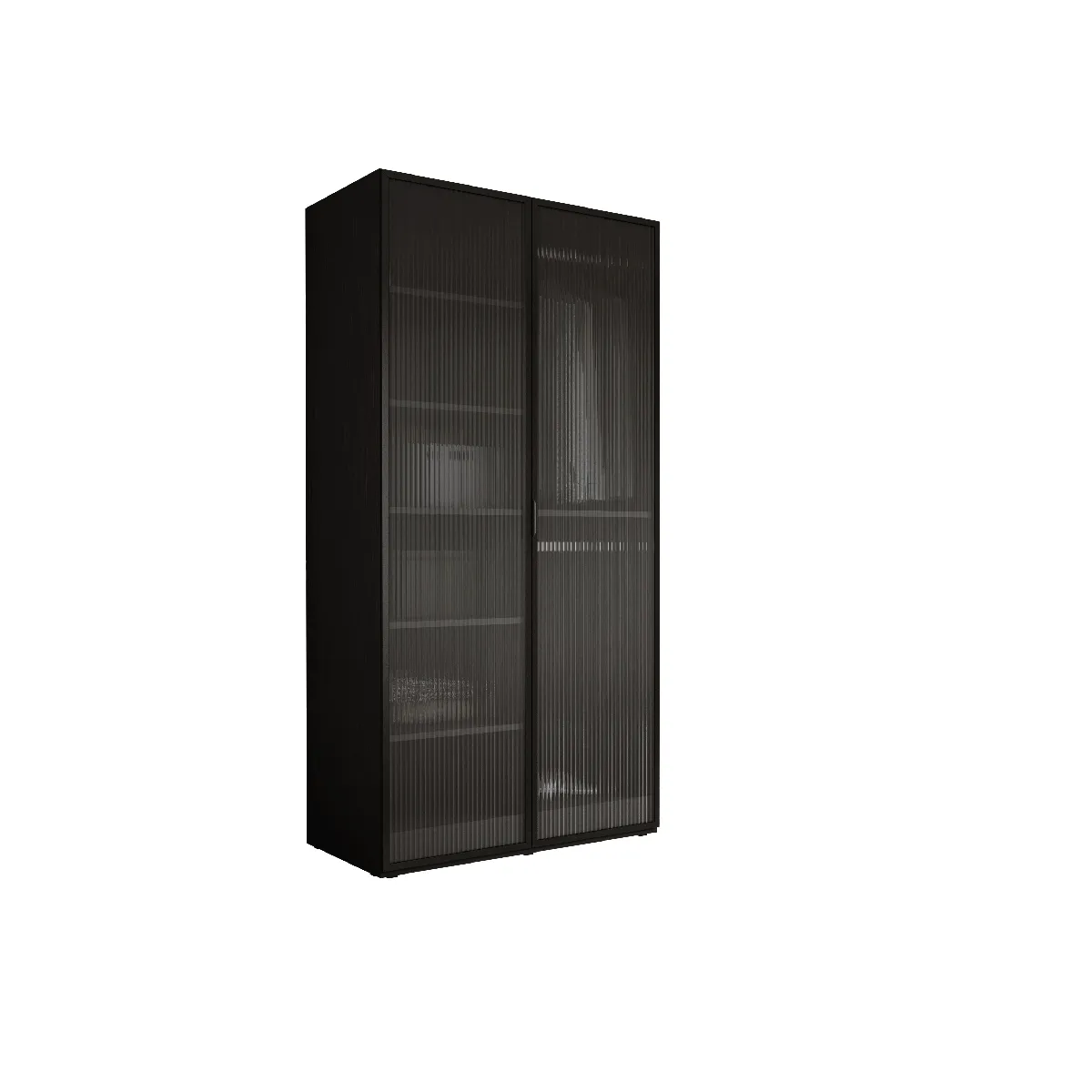 Armoire: Graphite Noir / Verre Rainuré, 100 x 200 x 51 cm