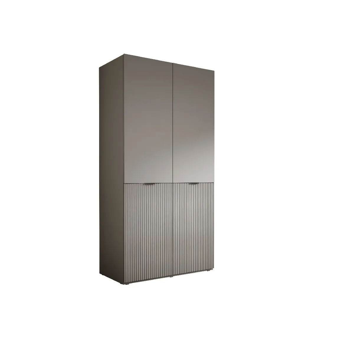Armoire: Gris Platine, 100 x 200 x 51 cm