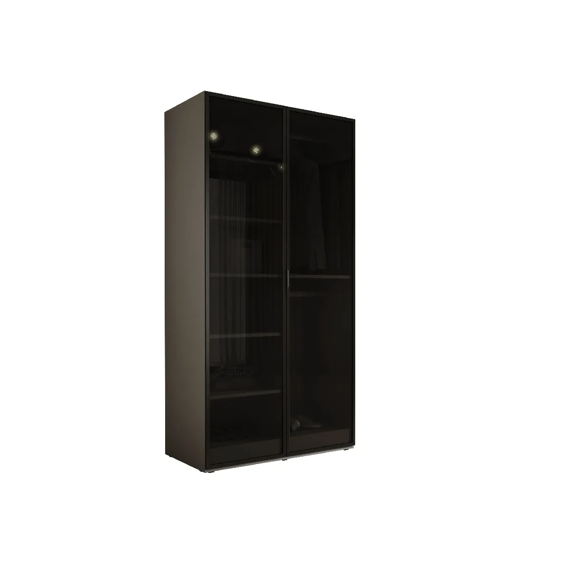 Armoire: Gris Platine / Verre Antisol, 100 x 200 x 51 cm