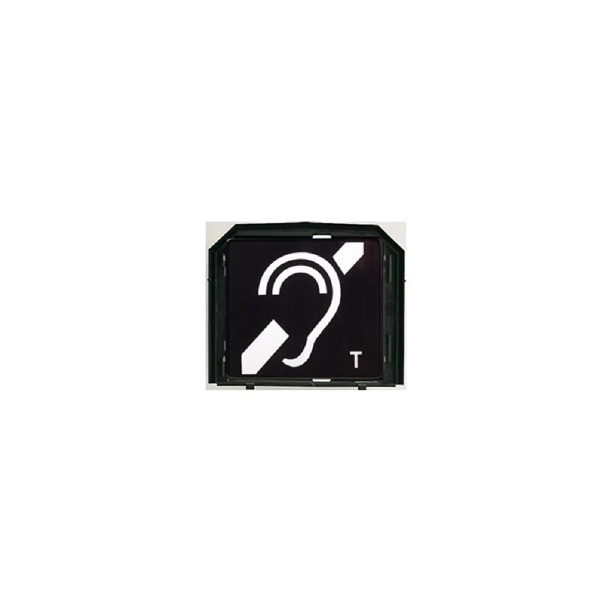 Module Boucle Magnétique Pour Gt