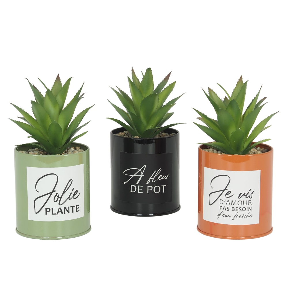 Lot de 3 succulentes artificielles en pot à message en métal coloré