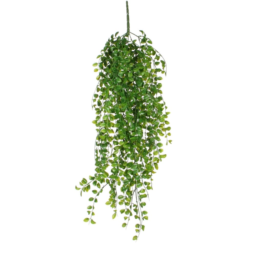 Pendentif Ficus Couleur Vert 81 Cm