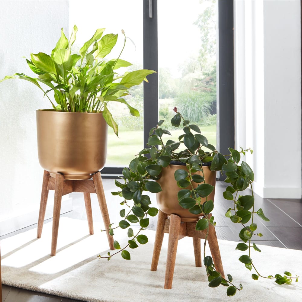 Finebuy Lot De 2 Pots De Fleurs En Métal / Bois Massif Jardinière Planteur