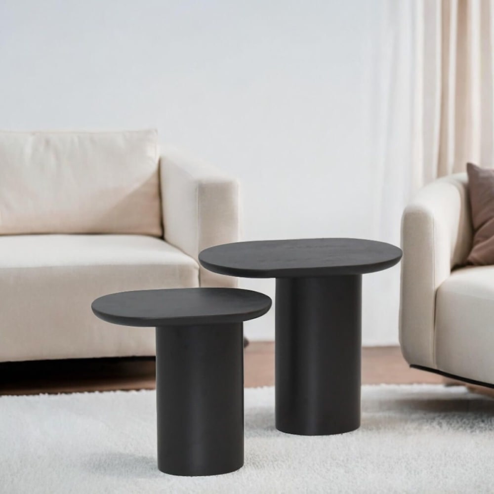 STELIAN - Lot de 2 Tables Basses Plateaux en Manguier teinté Noir Pieds Métal Noir
