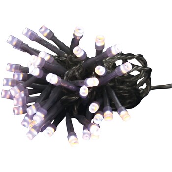 Guirlande électrique bicolore 40 Led