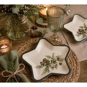 6 Assiettes Etoile En Carton Pommes De Pin