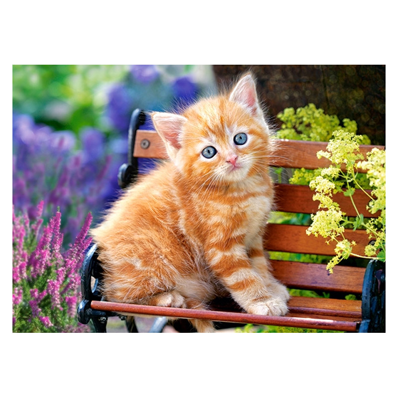 Puzzle 180 pièces: Chaton sur un banc