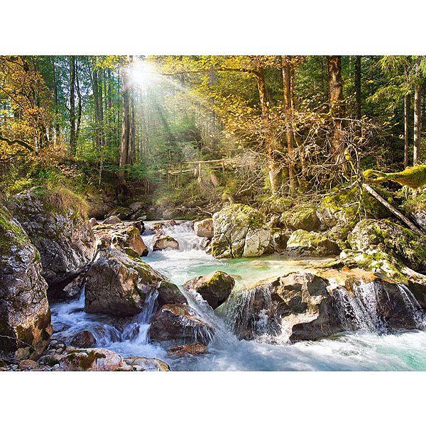 Castorland Puzzle Paysage Der Waldbach - 2000 Pièces