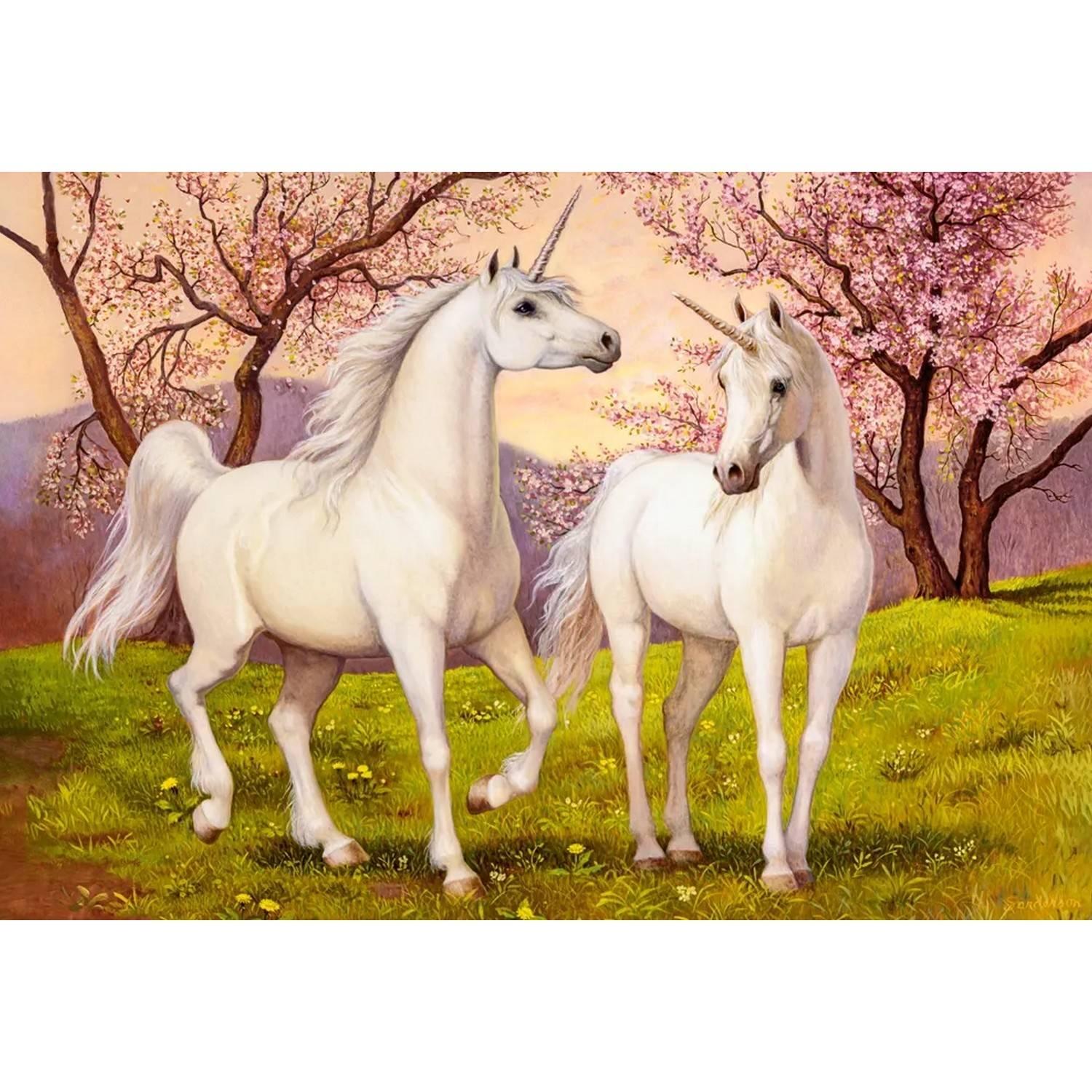 Castorland Puzzle Amour Licorne - 1000 Pièces Casse-tête