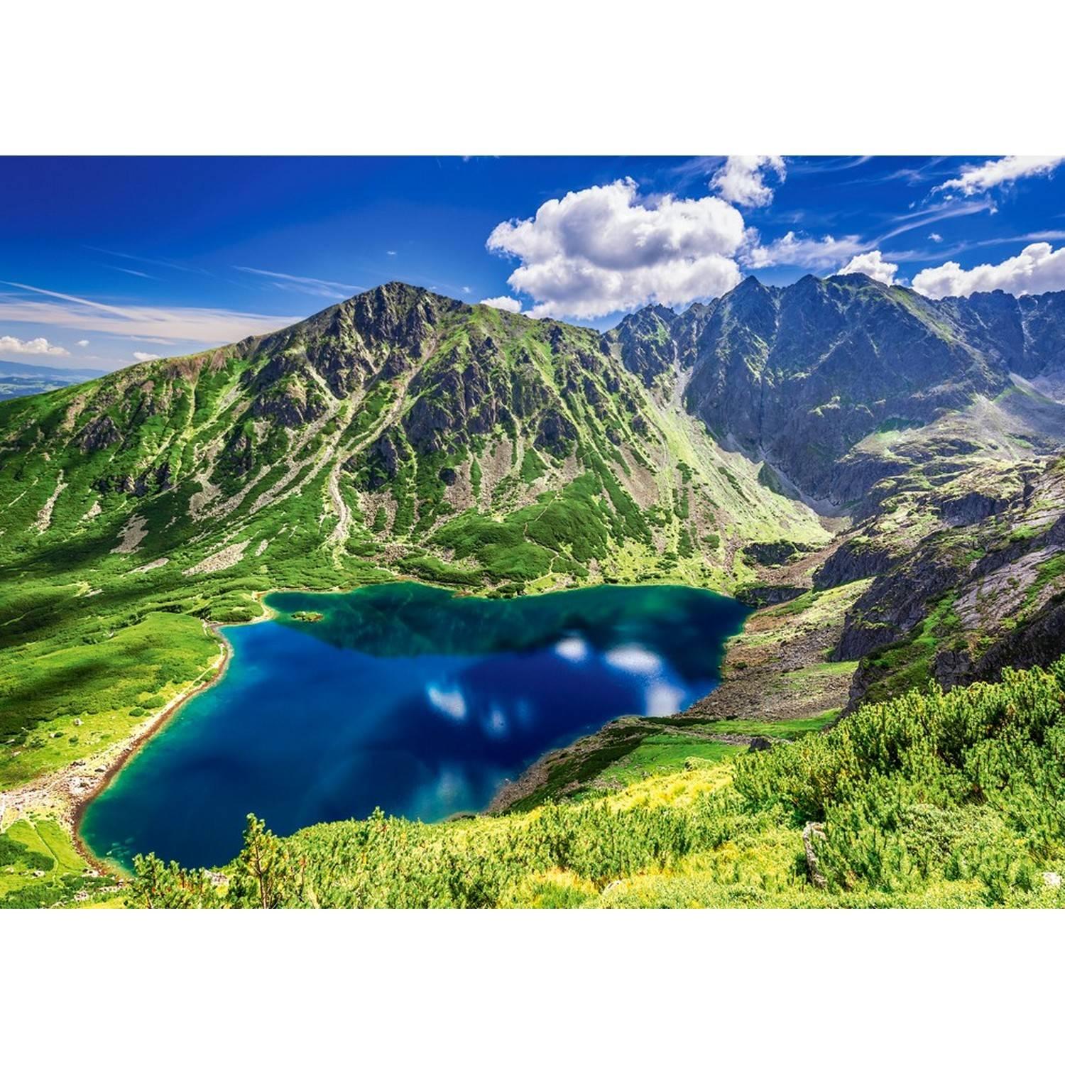 Castorland Puzzle Czarny Staw Gasienicowy Pologne 500 Pièces Casse-tête