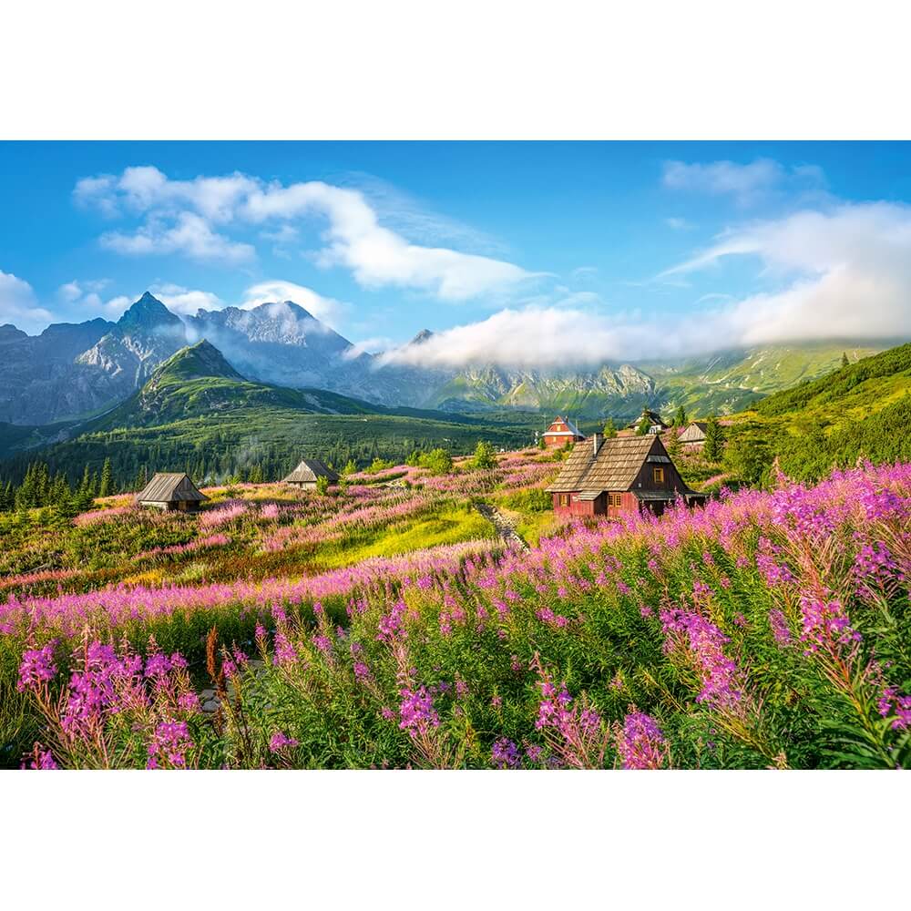 Castorland Puzzle Tatras, Pologne - 1000 Pièces - Puzzle Nature