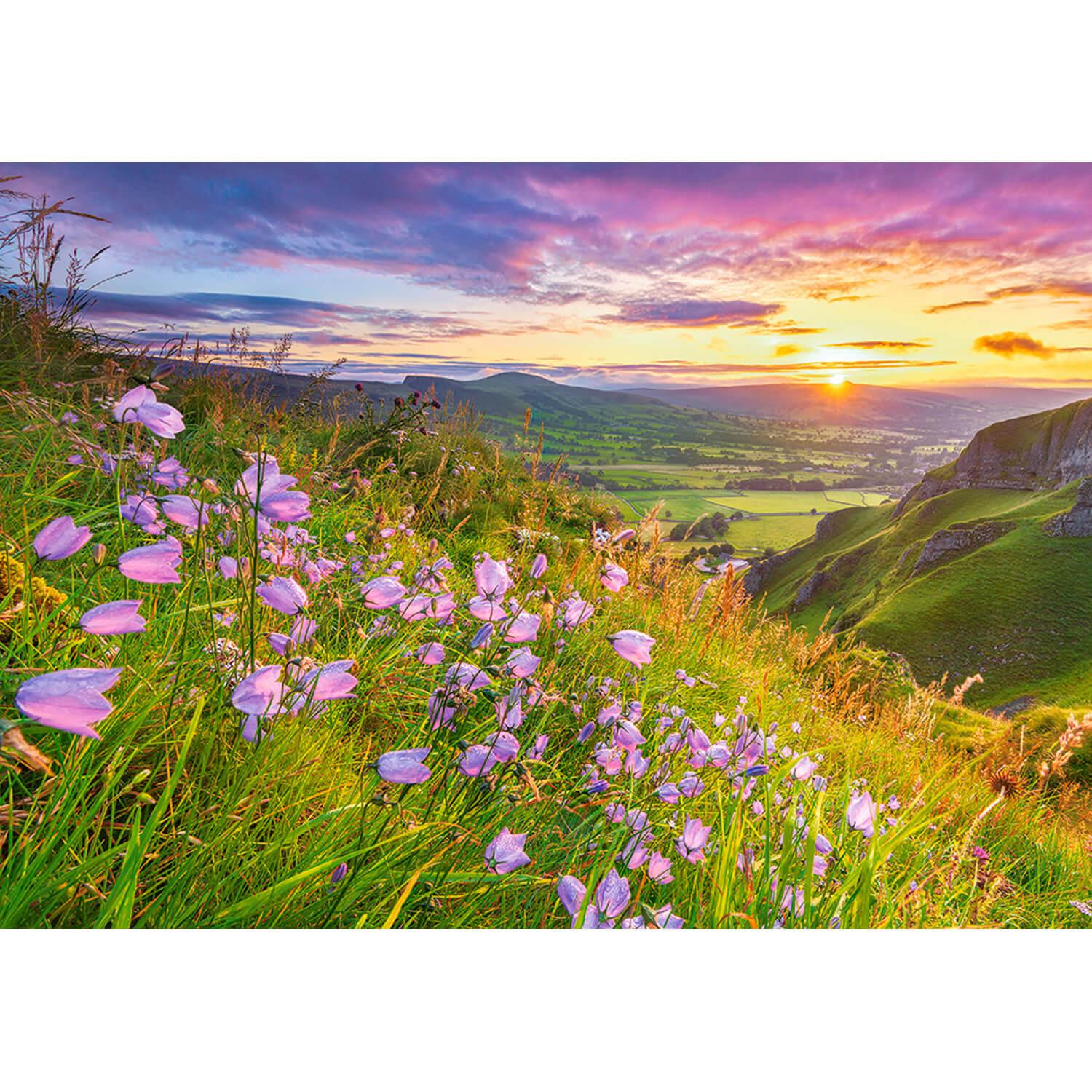 Castorland Puzzle Fleurs Herebells Lever Du Soleil - 500 Pièces