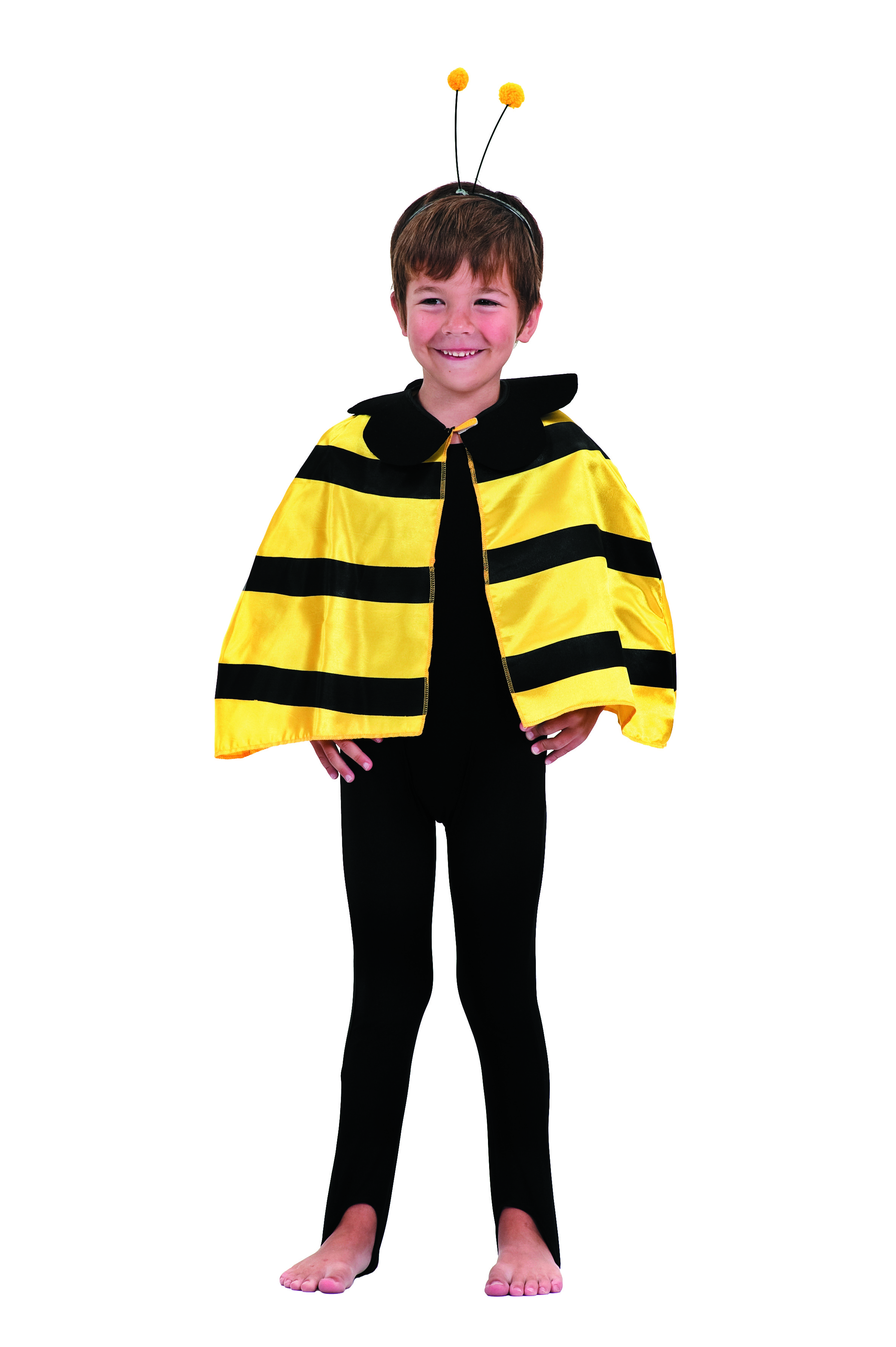 Déguisement Set Abeille Partypro Multicolor Autres