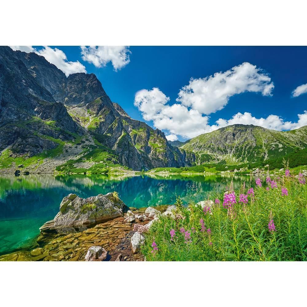 Castorland Puzzle Czarny Staw Pod Rysami Tatras Pologne - 500 Pièces