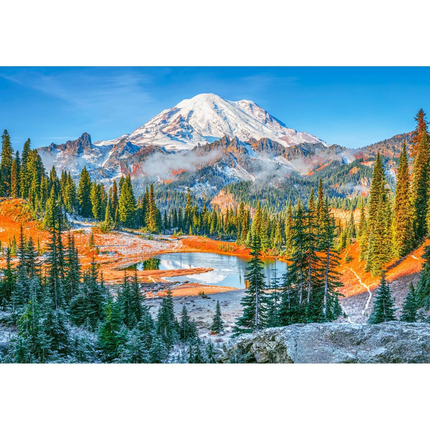 Castorland Puzzle Parc National Du Mont Rainier Usa 1000 Pièces