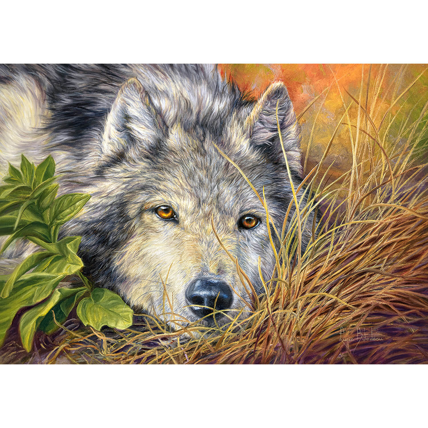 Castorland Puzzle Pure Soul - 500 Pièces Animaux Carton
