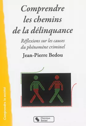 COMPRENDRE LES CHEMINS DE LA DELINQUANCE