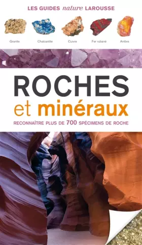 Roches et minéraux - Ronald Louis Bonewitz