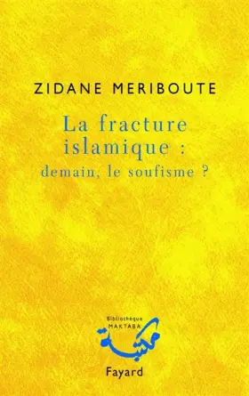La fracture islamique: demain le soufisme?