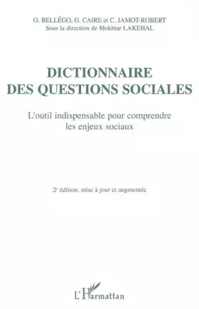Dictionnaire des questions sociales: L'outil indispensable pour comprendre les enjeux sociaux