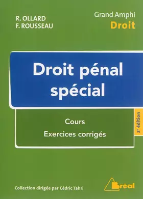 Droit pénal spécial