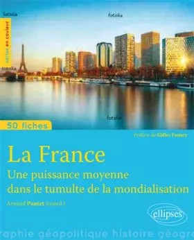 50 fiches de géopolitique: la France - une puissance moyenne dans la mondialisation