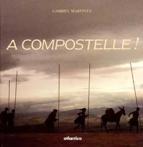 A compostelle! - marcher vers le tombeau du fils de zebedee