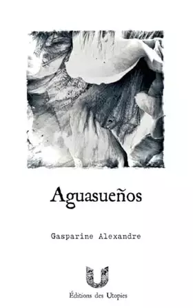 Aguasuenos: Pollutions nocturnes et grande déconfiture