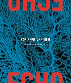 Echo. Carnets d'atelier (2017-2022). Ediz. a colori - Fabienne Verdier