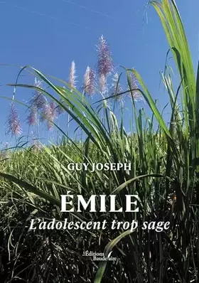Émile: L'adolescent trop sage