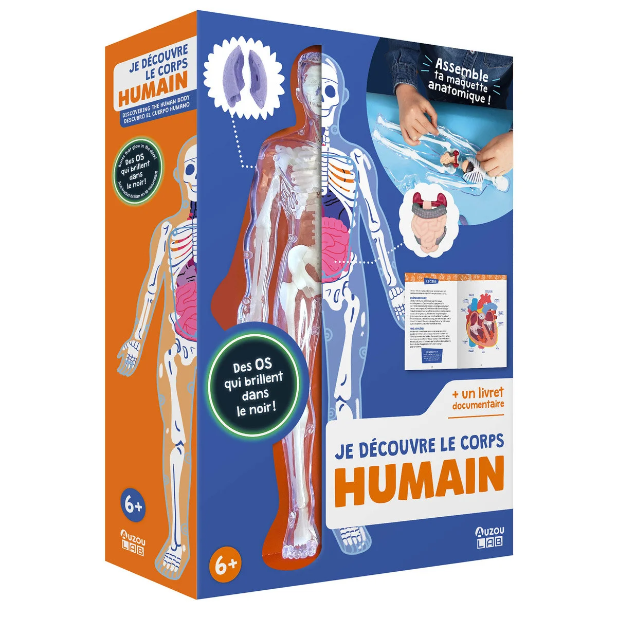 Auzou lab': Je découvre le Corps Humain - Auzou