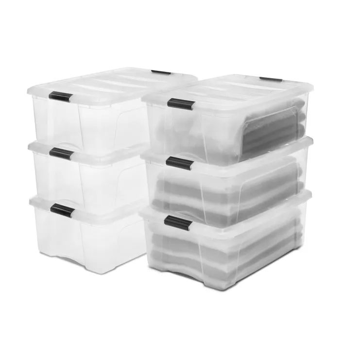 Iris Ohyama, Boites de Rangement Plastique avec Couvercle, 30L, Lot de 6, Transparent, DDNTB-30