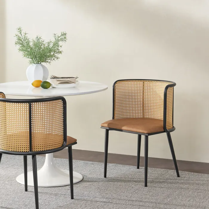 Lot de 2 chaises de salle à manger Flen 75 x 52 x 49 cm marron noir en.casa