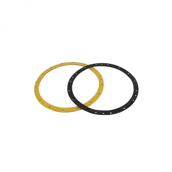 Joint de bride de projecteur de piscine 300 W - Noir - PRX20008 - Hayward