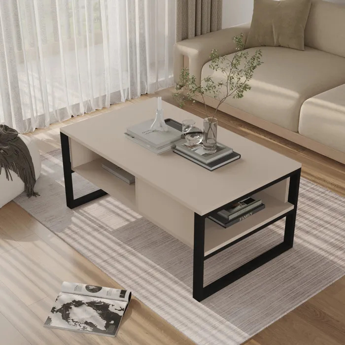 Table basse Laukaa 100 x 60 x 45 cm grège en.casa