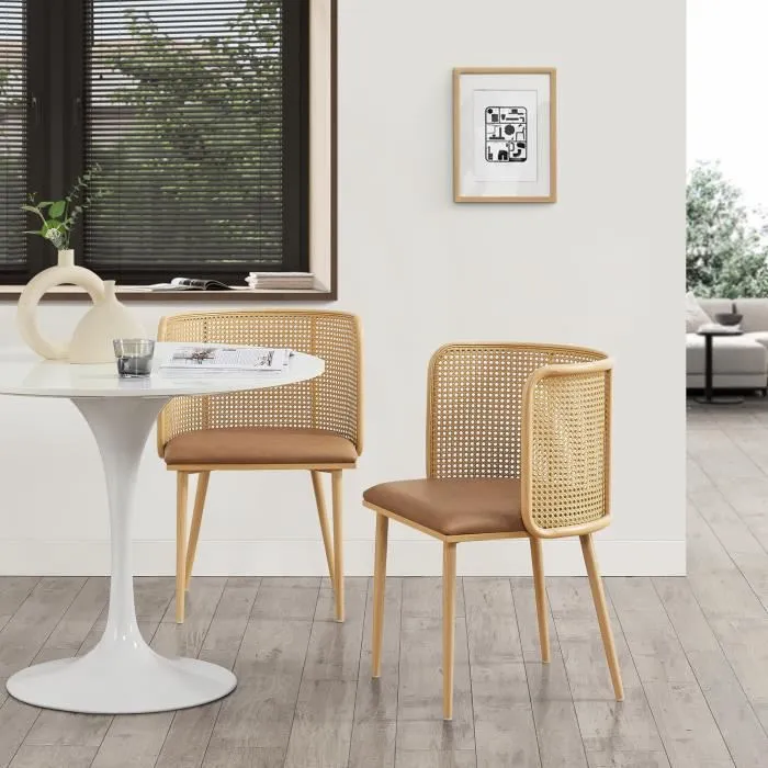 Lot De 2 Chaise De Bureau En.casa Interieur Non Empilable Non Pliable En Metal H. 49 Cm Marron