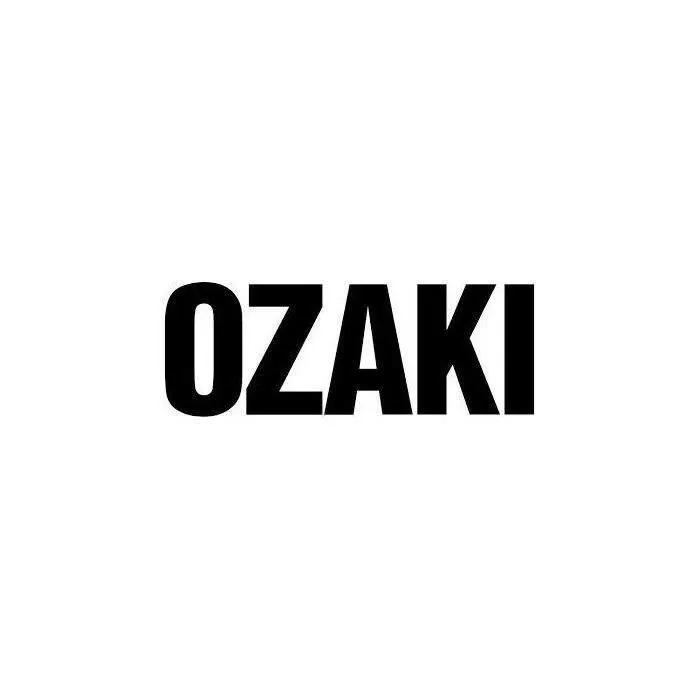 Chaîne De Tronçonneuse Ozaki Pro Carrée.404.063 (1,6mm) 41 Entraîneurs.