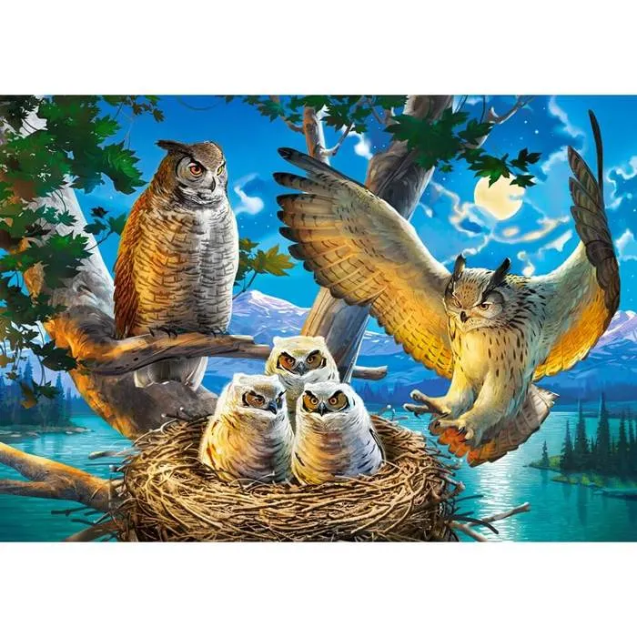 Castorland Puzzle Owl Family - 500 Pièces Animaux