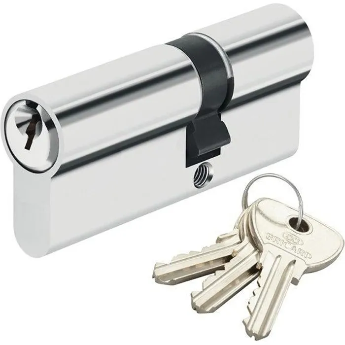 Cylindre de sécurité pour porte barillet 30 x 60 mm Alpha Bricard 3 clés