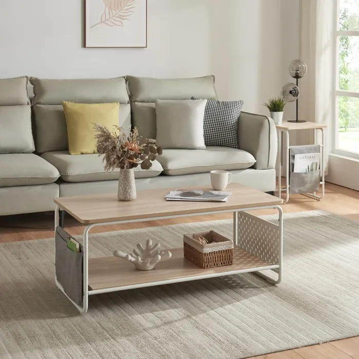 Table basse Dyrooy 100 x 50 x 43 cm blanc effet chêne gris en.casa