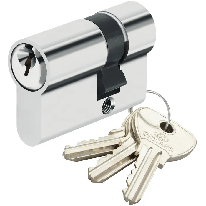 Demi Cylindre de sécurité pour porte barillet 10x30 mm Alpha Bricard 3 clés